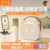 TANALAZ K91 Wireless Bluetooth Karaoke Microphone Speaker