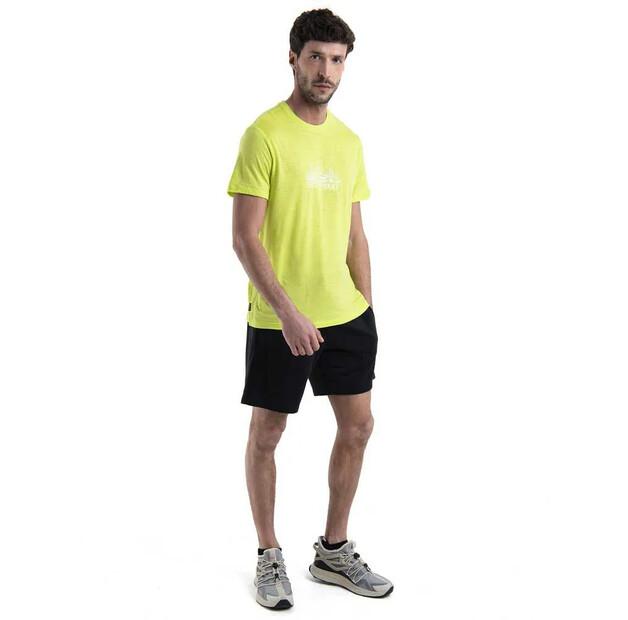 Icebreaker Шорты Merino Shifter II