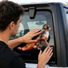 Monkey Holding Plush Toy Decal Funny Creative DIY Vinyl Stickers Waterproof Decal for Laptop Bumper Bike Skateboard Phone
