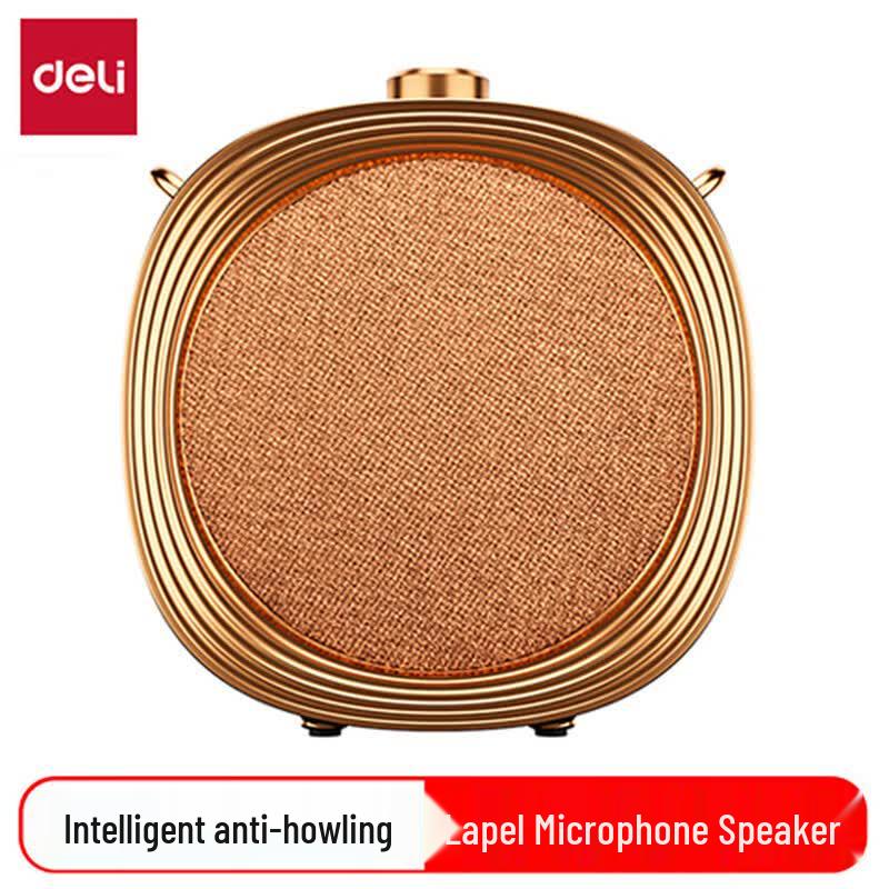 Deli LT941J Wireless Teacher Amplifier (CN version)