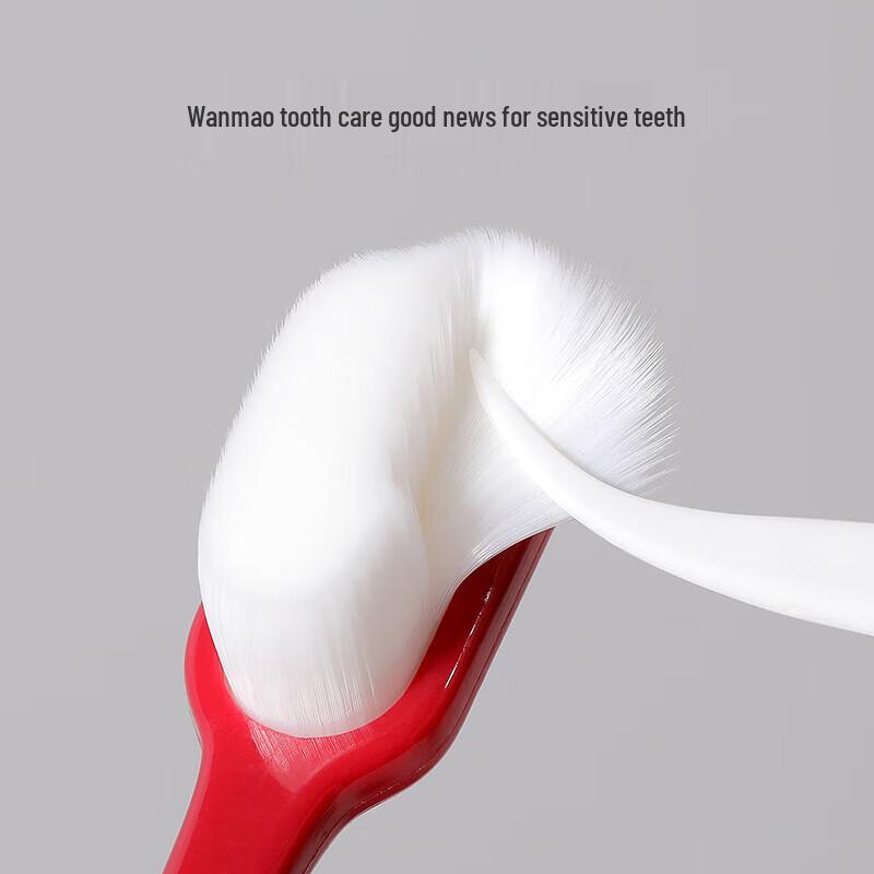 RAOYI Ultra-Soft Bristle Toothbrush 4-Pack