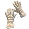 Gloves Women'S Season Warm Touch Screen Driving Riding Fleece Thickened Windproof Cotton Gloves Luggage