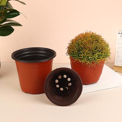 10 macetas de plástico para cultivo de plantas suculentas, pequeñas, fáciles de plantar, para viveros.