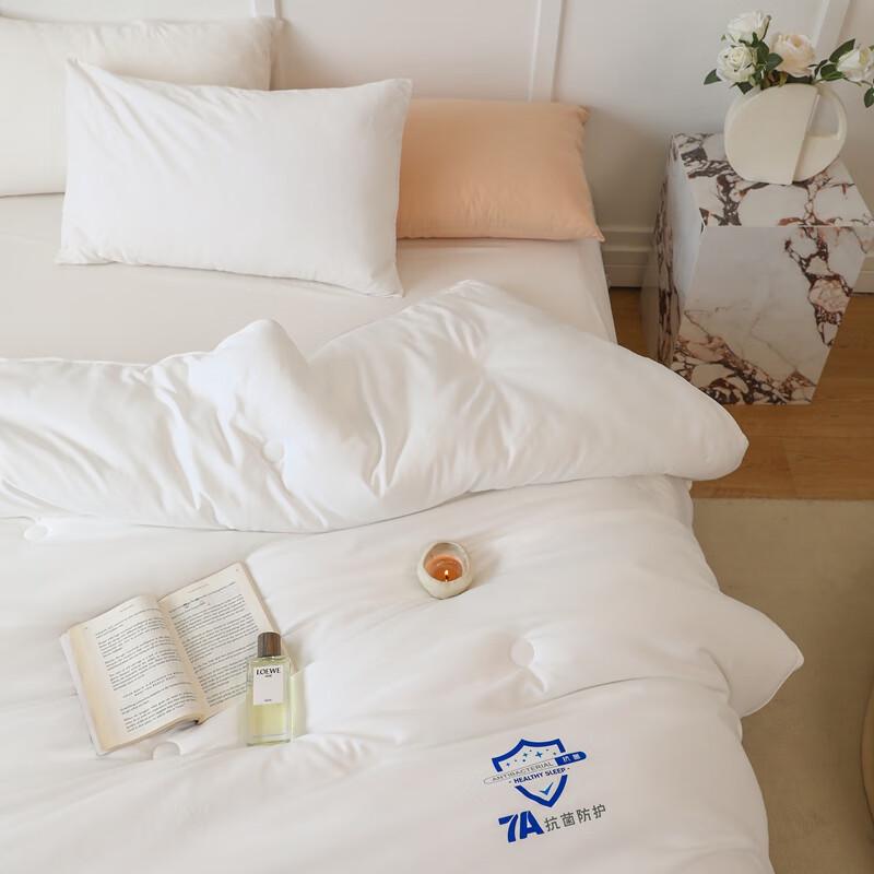 Southern Living 7A Antibacterial Winter Duvet