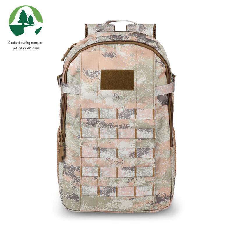 Outdoor Tactical Backpack
