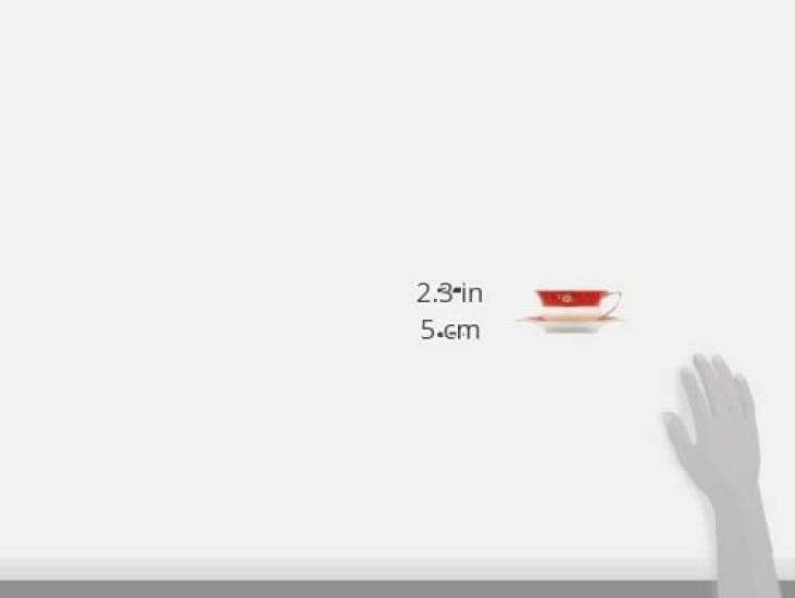 Wedgwood Wanderlust Crimson Orient Teetasse Untertasse Hochzeitsgeschenk [Offiziell importiert] & 200ml,