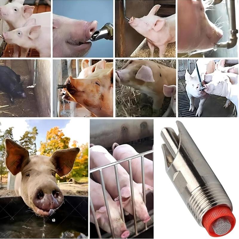 Durability Rusts Resistant Automatic Poultry Drinker Providing Continuous Clean Water Flows for Farm Use