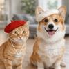 Katzen – Kleidung für Katzen