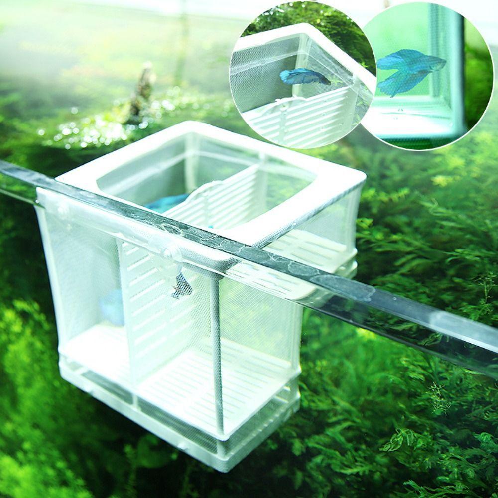 For Baby Fishes Shrimp Fish Tank Incubator Incubator Box Breeding Box Fish Breeding Breeder Box