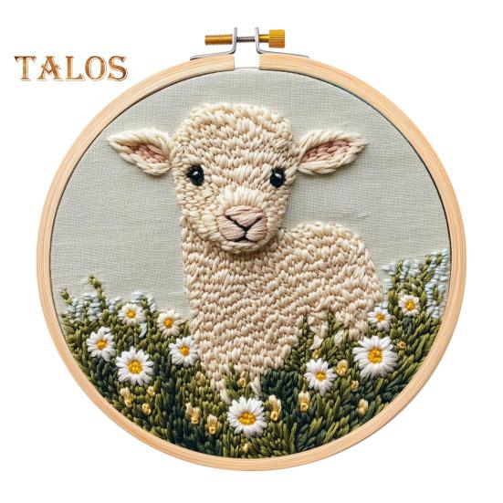 

Набір перфораційних голок для початківців Набір перфораторних голок із п’яльцями Ножиці DIY Стартовий набір для вишивання перфораторними голками для дорослих, дітей B