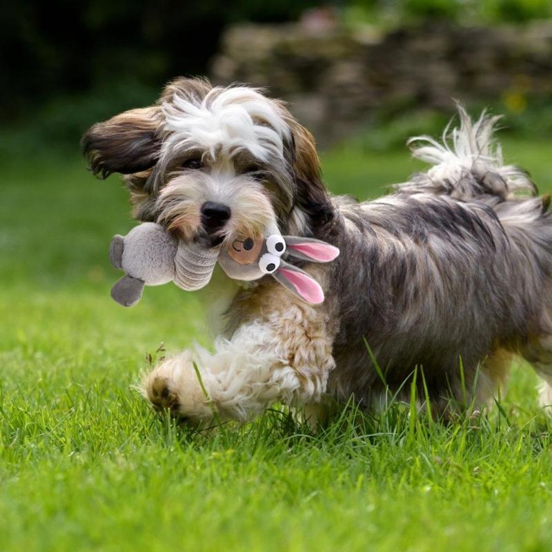 2pcs Plush Cartoon Animal Shape Toy for Chewing Teeth Cleaning Dogs Cloth Toy Training Squeaky Toy for Aggressive Chewer