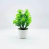 Odorata Lour Aglaia Potted Plant Bonsai Living Room And Event Decoration