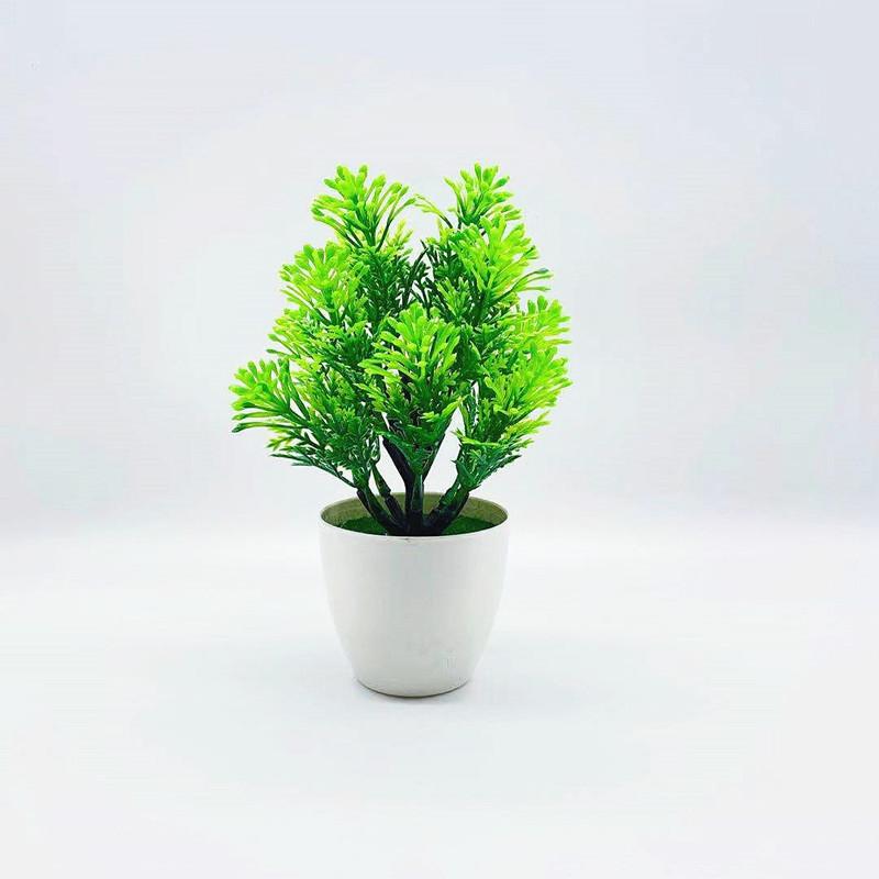 Odorata Lour Aglaia Potted Plant Bonsai Living Room And Event Decoration
