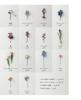 Crochet with Embroidery Thread Beautiful Flower Encyclopedia (applemints)
