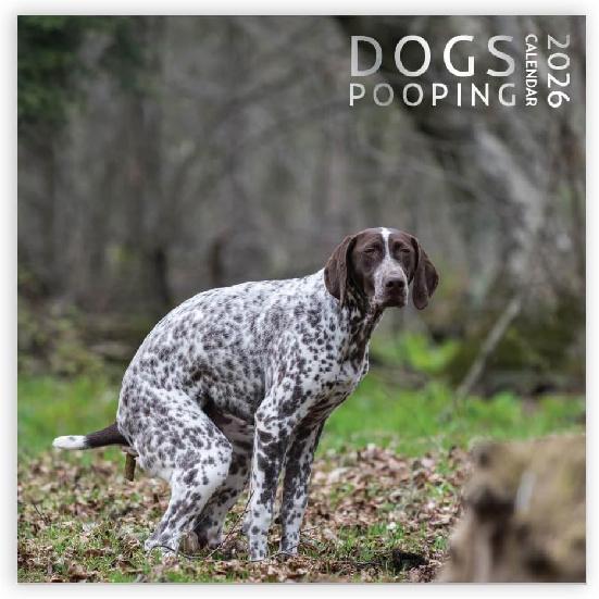 

Календарь «Собака какает» 2026, 12 x 12 дюймов, Смешной подарок, Белый слон, Шуточный подарок, Тайный Санта Dog