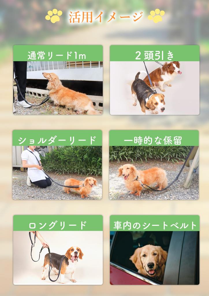 AmberWave by Veterinary Dog Shoulder Adjustable Soft Lead for Small and Medium [Supervised Nurses] Lead, 3m, Length, Handheld, Dogs, Shoulder,