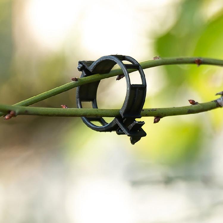 100pcs Functional Garden Plant Support Clips Practical Garden Clips For Securing Tomato Stem And Vegetable Plant