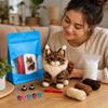 Animal Crochet Kit for Beginners, Lover Gift, Decoration Set