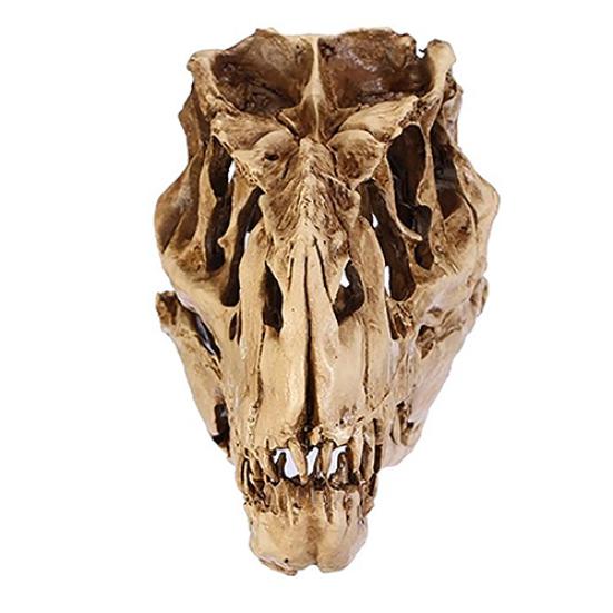 Resin Crafts Dinosaur Tooth Skull Fossil Teaching Skeleton Model Halloween Decor