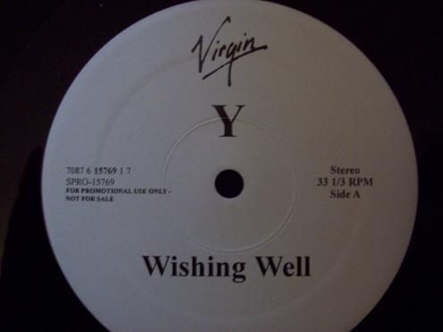 

12inch Record YANNI - Wishing Well SPRO15769 Virgin 2001 US Dance & Electronica Used