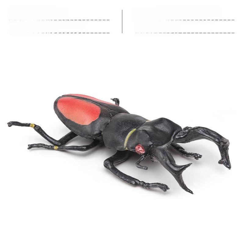 Insektensammlung Modell Pvc Tier Replikat Für Naturstudium Und Bildungszwecke