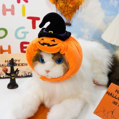 Haustierhüte Halloween Lustige HundeKürbishüte Hundekostüme Katzenverwandlung Kopfbedeckung Katzenzubehör