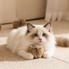 Ball Cat Toy Self-Entertainment Fun Toy Scratch and Bite Resistant Plush Fur Ball Pet Supplies