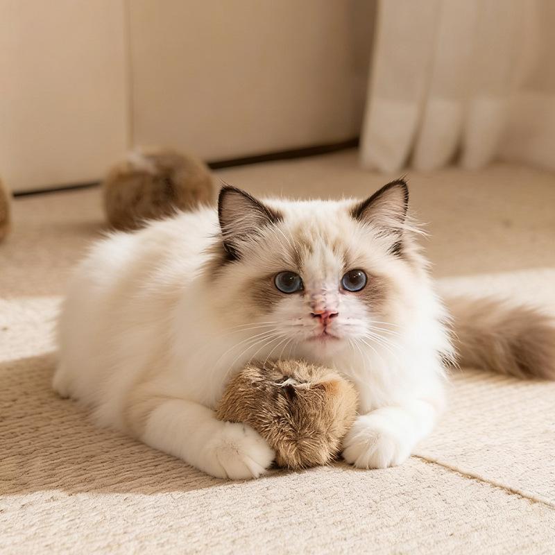 Ball Cat Toy Self-Entertainment Fun Toy Scratch and Bite Resistant Plush Fur Ball Pet Supplies