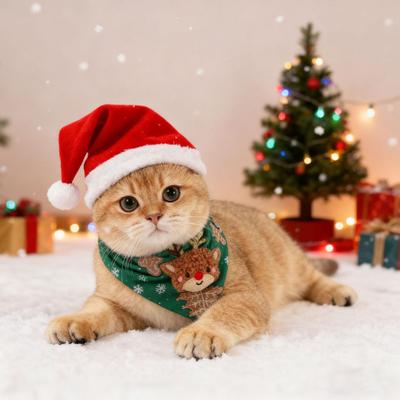 Yousheng Christmas Cat Bandana Pet Triangle Scarf Funny Bib with Plush Santa Reindeer Xmas Tree Bandana Collar for Dogs Cats Holiday Dress-up