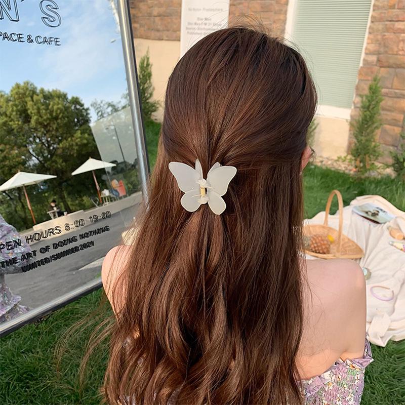 

Mori Style Frosted Butterfly Hair Clip: Cute Acrylic Translucent Hairpin for Girls