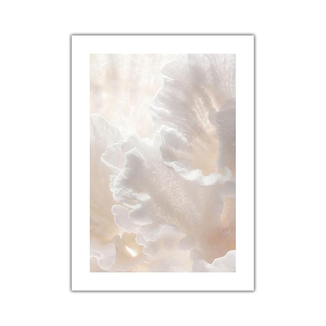 Scandinavian Nature Plant Palm Leaf Shell Beach Canvas Painting Poster Seaside Landscape Print Wall Art Picture Home Decoration