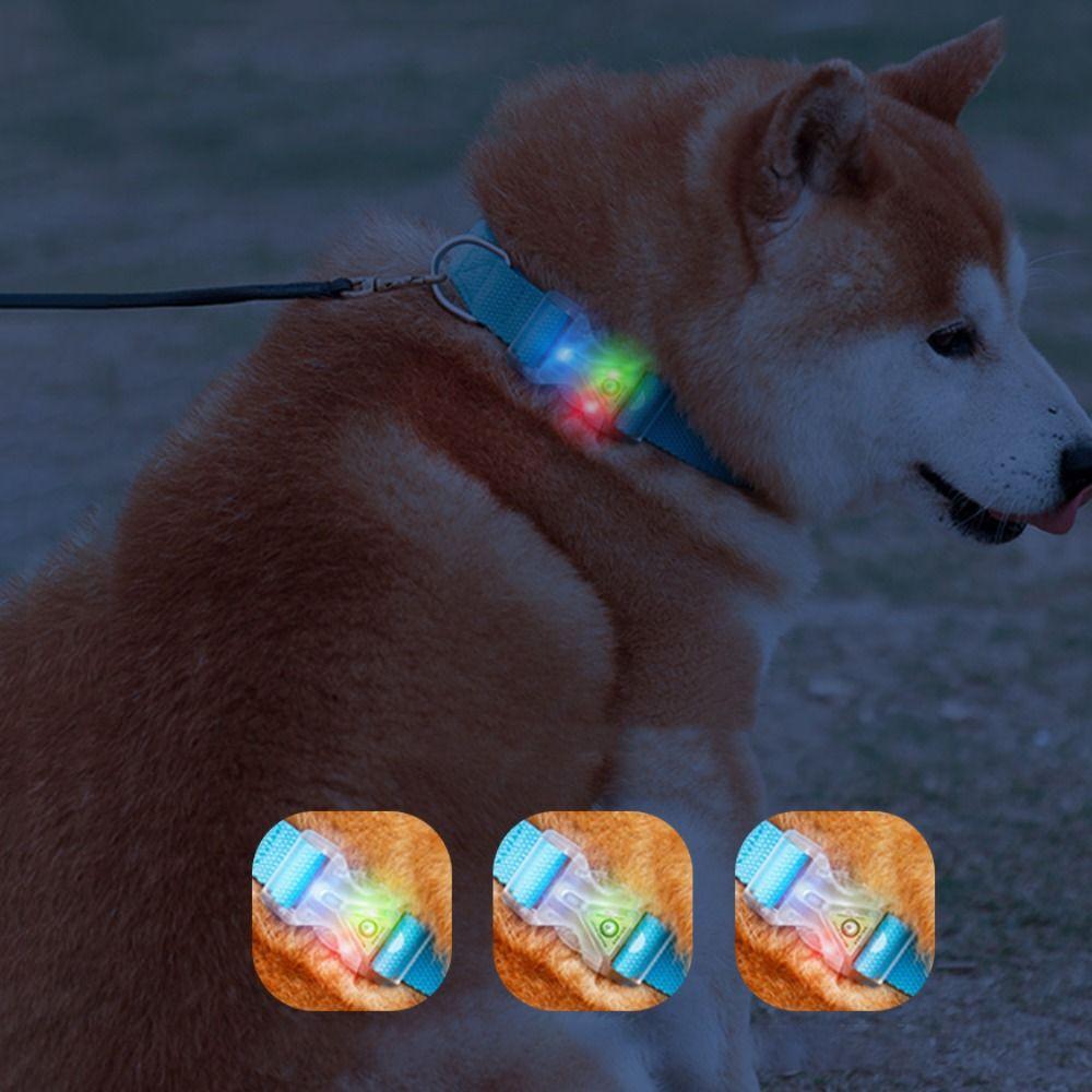 Anti-Lost LED Glowing Dog Collars Fluorescent Dog Night Light Collar Luminous Pet Collar  Outdoor