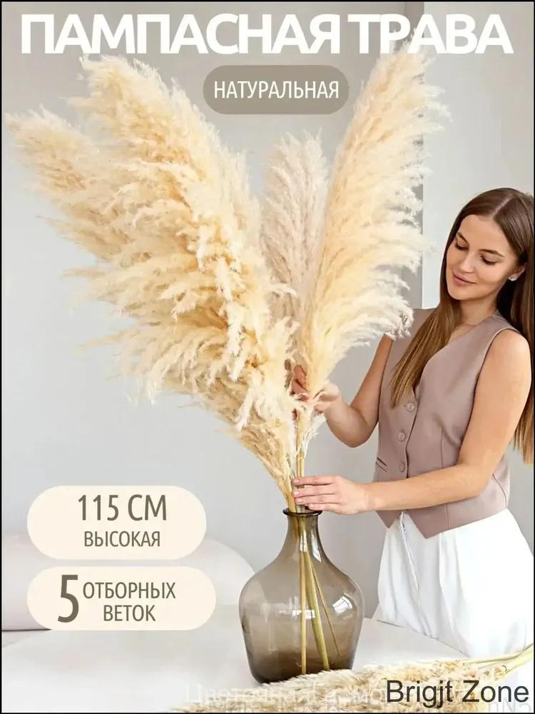 Dried flowers Pampas grass 120 cm 5 pcs copper