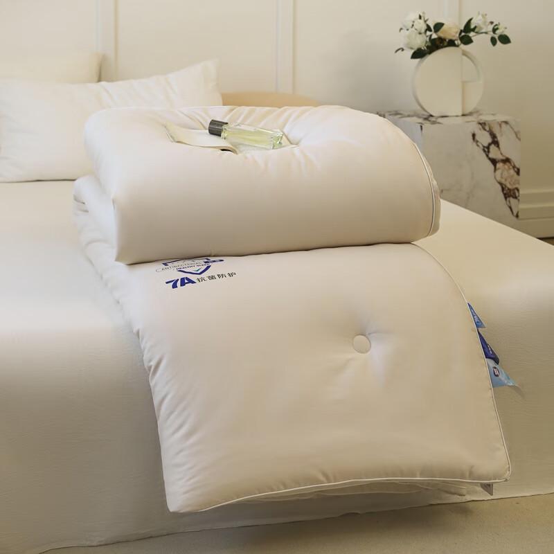 Southern Living 7A Antibacterial Skin-Friendly Winter Quilt