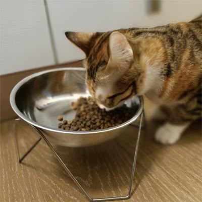 304 Stainless Steel Tilting Cat Bowl, Resistant To Falling, Easy To Clean, Safe Cat Food Bowl, Suitable for Medium and Large Cat