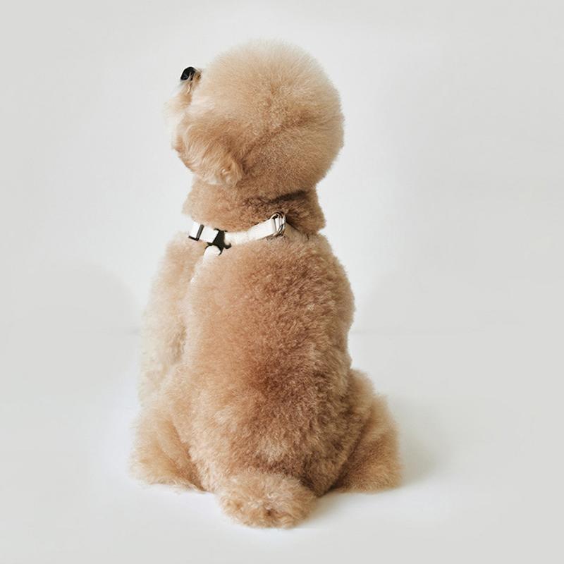PU Leather Dog Harness and Leash Set Pet Harness for Small Dogs Teddy Bichon Comfortable Dog Harness Vest Leash Pet Supplies
