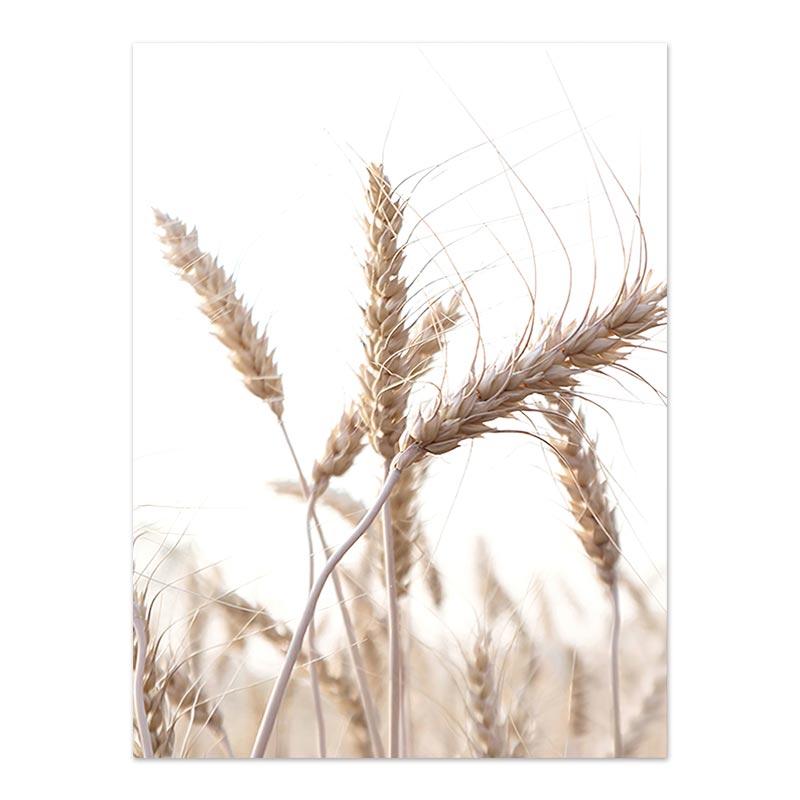 Naturlandschaft Landschaft Wandkunst Leinwand Poster und Druck Malerei Blume Gras Sonnenschein Nebel Bild Home Decorfor Wohnzimmer