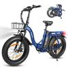 Electric Bicycle Eskute D202 20" Tire 250W Motor City Foldable E-Bike 48V 20.8Ah Dual Disc Brakes 7 Speed Max Load 150Kg