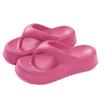 Thick-bottomed Foot-pinching Flip-flops Women's Summer Outer Wear Heightening Non-slip Indoor Home Leisure Beach Sandals