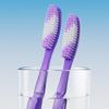 Cansen Long Head Soft Bristle Toothbrush