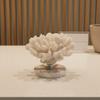 Faux Coral Sculpture Minimalist Simulated Coral Sculpture Table Ornament Creative Long-Lasting for Study Room, Reception Desk