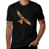 Rotmilan (Rotmilan) T-Shirt Fitness Training Kurzarm T-Shirt