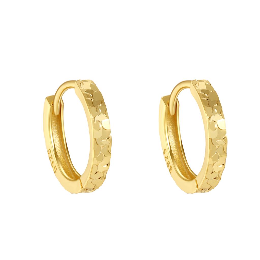 925 Sterling Silver Shiny Earrings Korean Version Simple Fashionable High-end Light Luxury Temperament Earrings