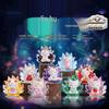 Sheng Zhi Cute Cat Blind Box Ornament: Exquisite Daily Desktop Figurine