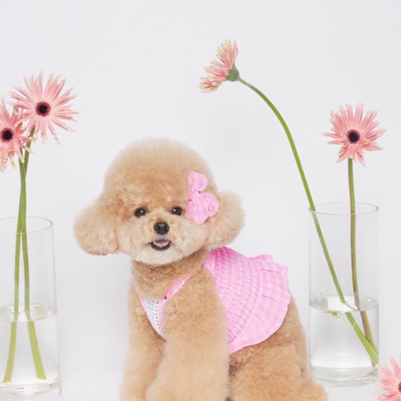 SALTYHEARTY Hello Crop Blouse New Check PINK