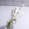 50 Stück Paketbedarf Blumenverpackungsbeutel Wasserdichtes Straußverpackungsmaterial Hochzeit