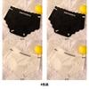 Ice Silk Seamless Women's Underwear