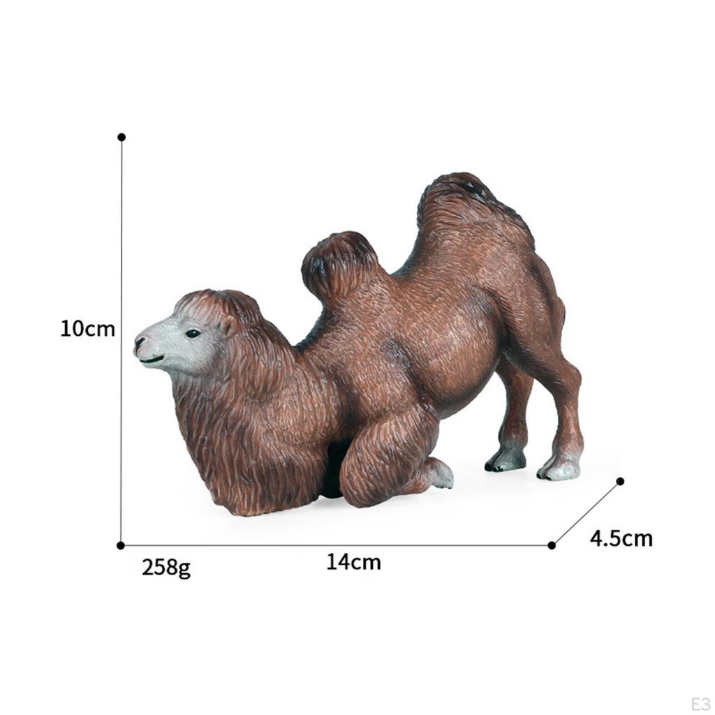 Bactrian Camel Model - Realistic Desert Animal Figurine for Preschoolers
