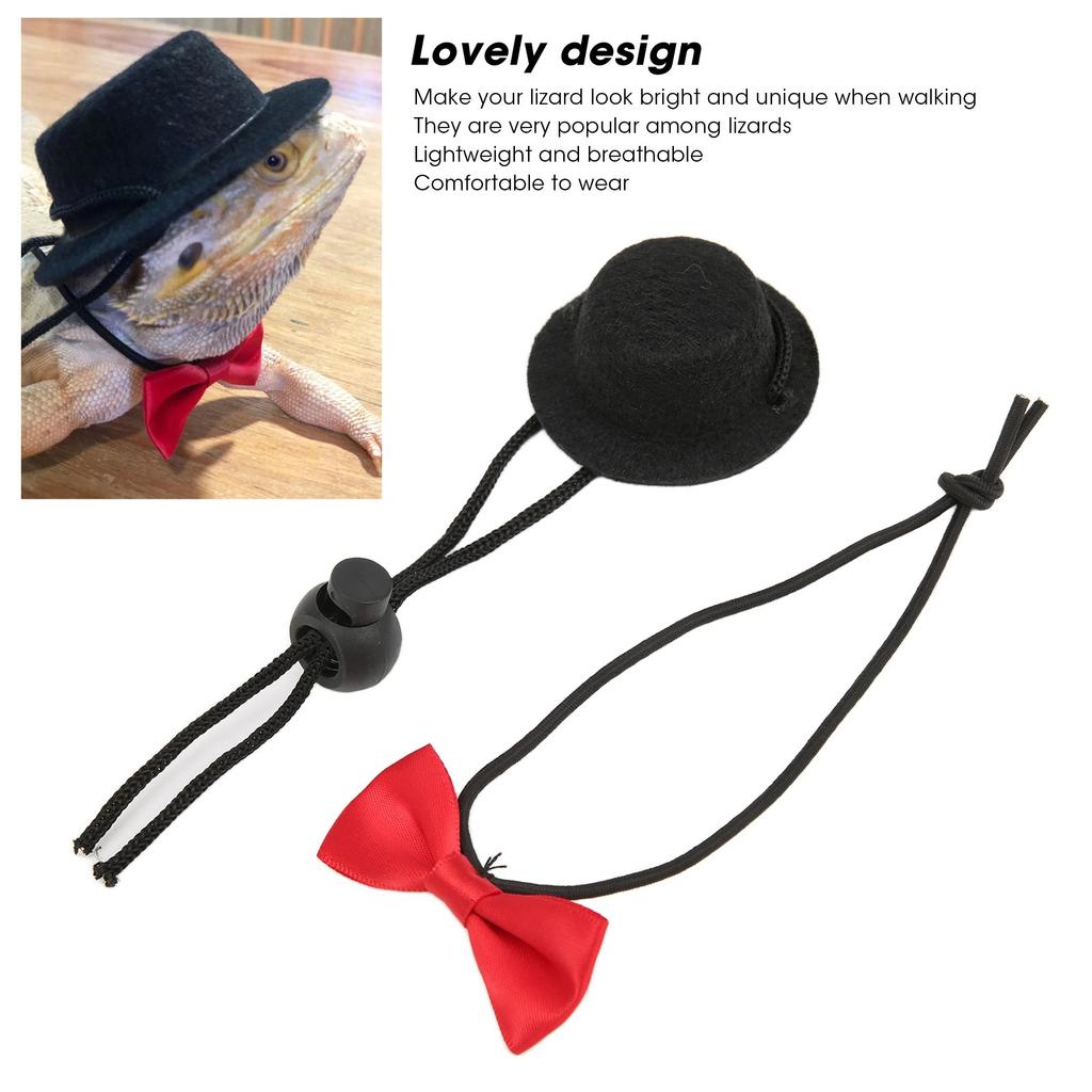 Reptile Hat and Bow Tie Cute Valentine s Day Clothes Set for Bearded Dragon Hamster Guinea (Black Hat Red Bow Tie S)