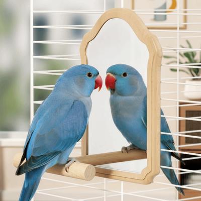 Juguete de Espejo para Loro Resistente al Desgaste Resistente a Mordeduras Juguete Interactivo para Pájaros Percha para Pájaros